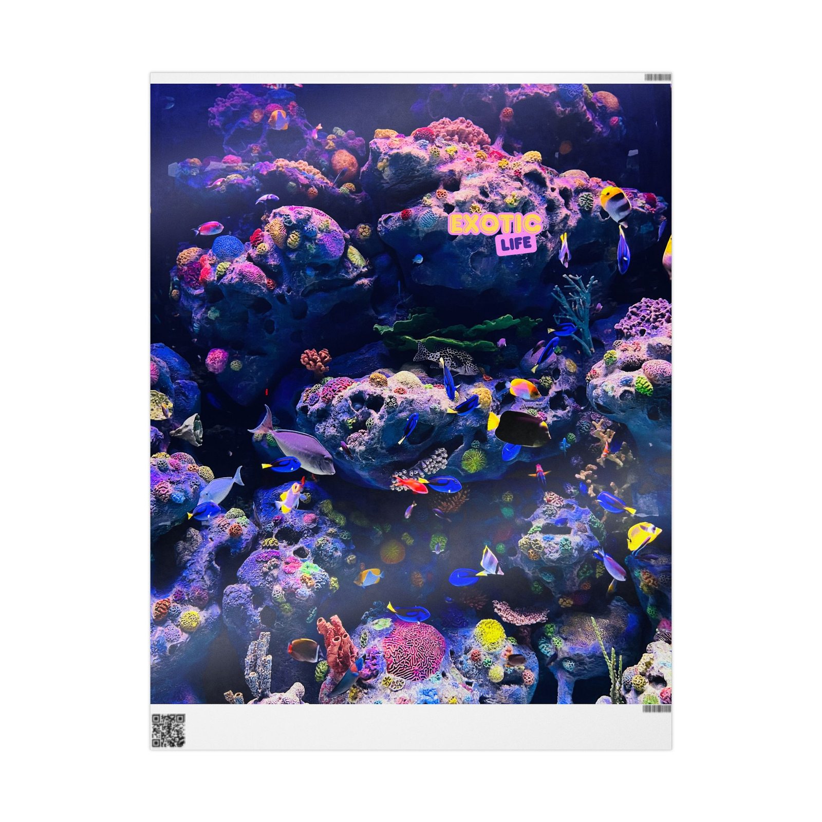Exotic Life Coral Reef Wrapping Paper — Vibrant Underwater Gift Wrap - Image 5