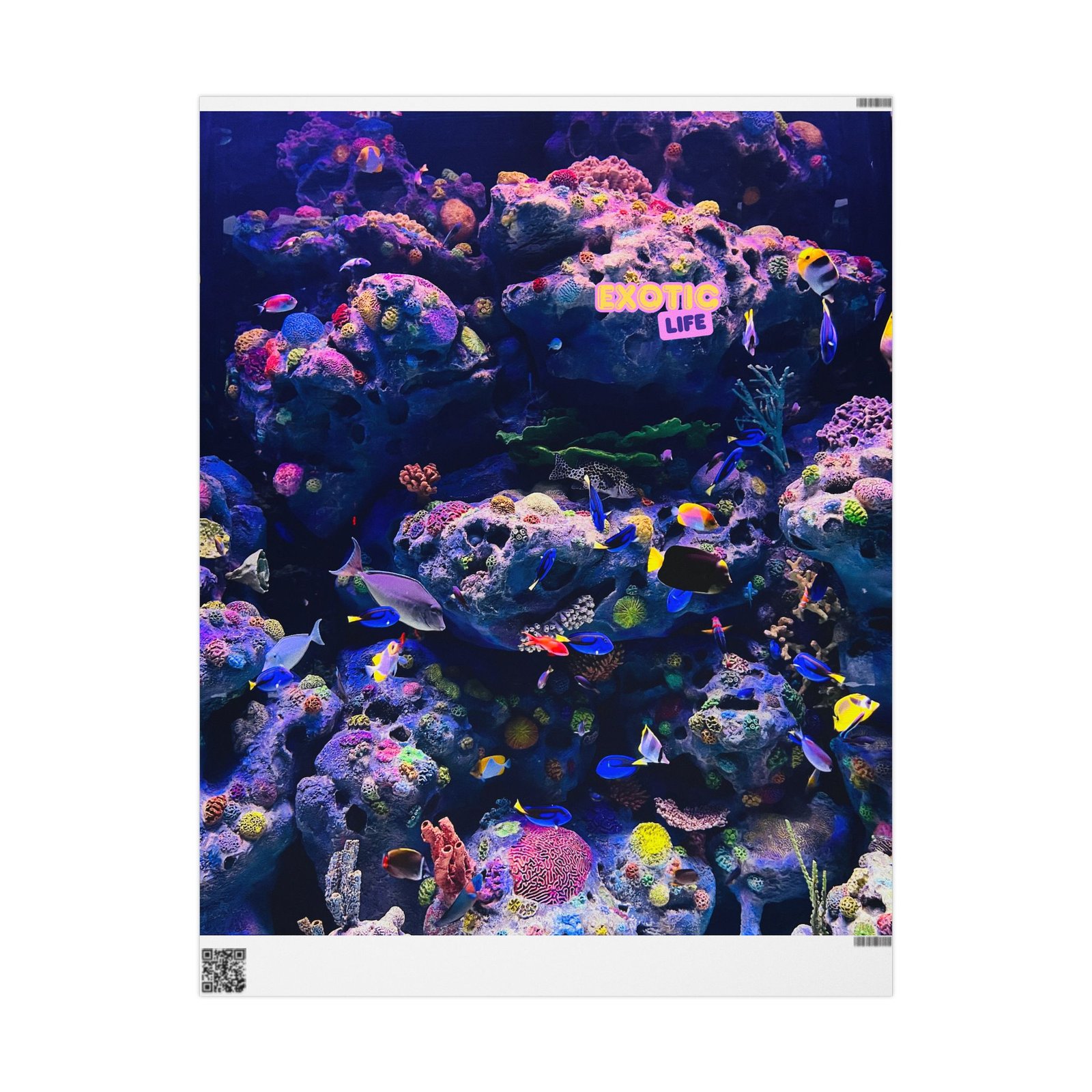 Exotic Life Coral Reef Wrapping Paper — Vibrant Underwater Gift Wrap