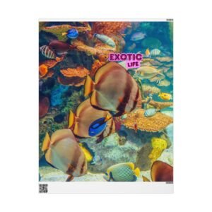 Exotic Life Tropical Fish Wrapping Paper – Underwater Ocean Gift Wrap